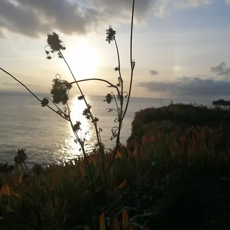 O Antigo Lagar דירה *