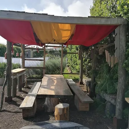 O Antigo Lagar דירה Cinco Ribeiras