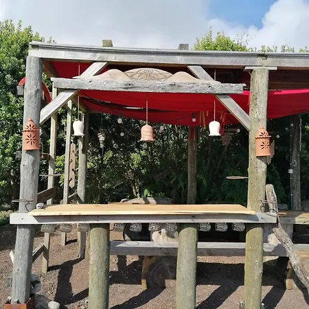 O Antigo Lagar Cinco Ribeiras