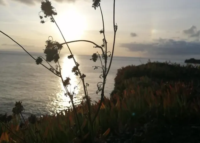 O Antigo Lagar Apartment *