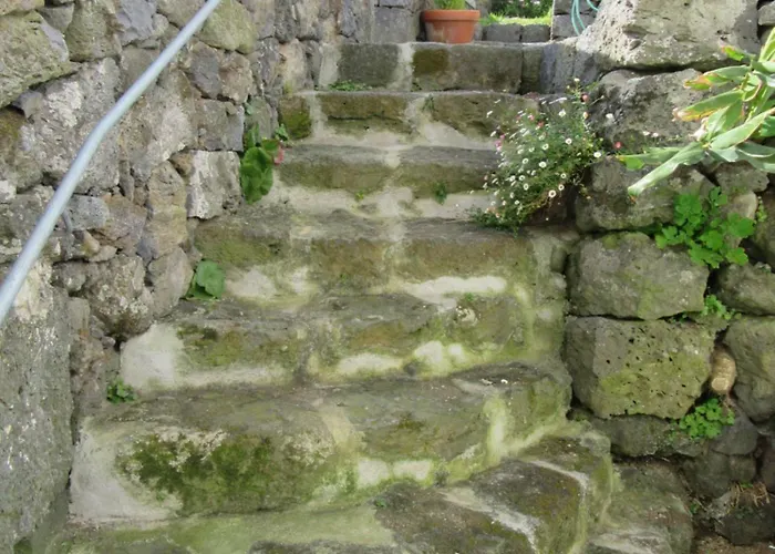 O Antigo Lagar Apartment